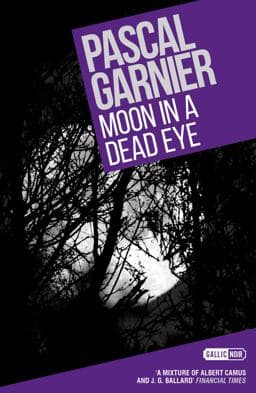 Moon in a Dead Eye: Shocking, Hilarious and Poignant Noir 9781908313492