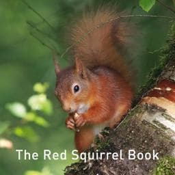 The Red Squirrel Book 9781912654178