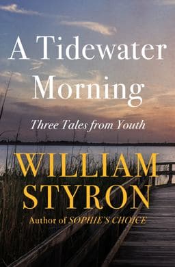 A Tidewater Morning 9781936317257