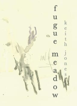 Fugue Meadow 9781938900198