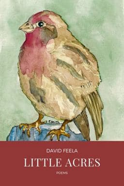 Little Acres 9781947021877