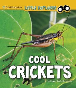 Cool Crickets 9781977114327