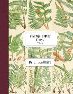 Vintage Prints: Ferns: Vol. 5 9781987676310