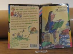 Matilda 9782070512546