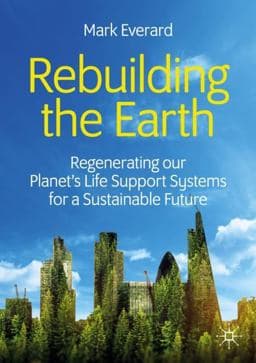 Rebuilding the Earth 9783030330231