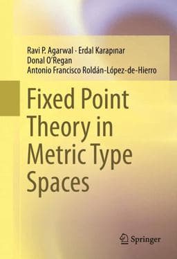 Fixed Point Theory in Metric Type Spaces 9783319240800