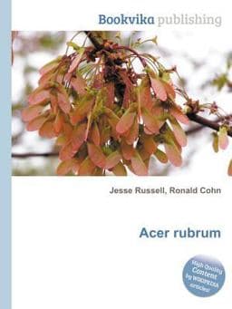 Acer Rubrum 9785510555417