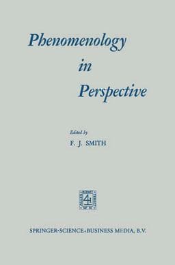 Phenomenology in Perspective 9789401744492