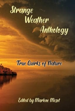 Strange Weather Anthology 9798985847741
